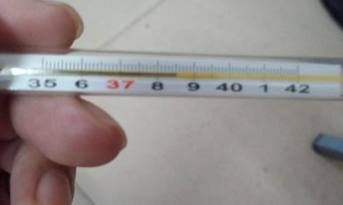 去湿气吃什么食物最好最快最有效-去去湿气的食物和水果网-分享去湿气最快的好食物，去湿气的食物有哪些知识库